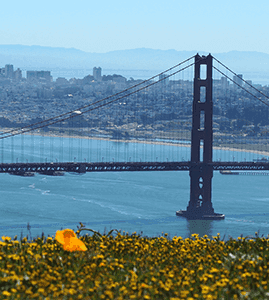 On-Site Security Guard in San Francisco