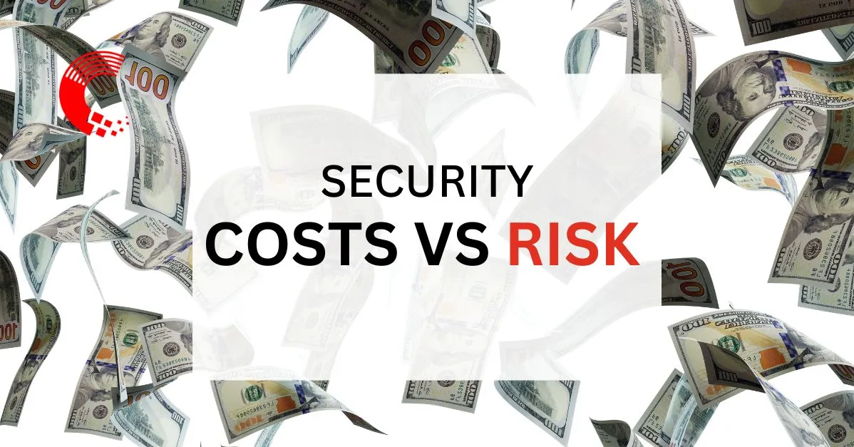 Security Costs vs. Risk: Balancing Protection and Profitability