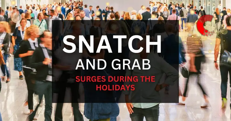 Why Snatch and Grabs Surge During the Holiday Season and Why Security is Essential￼