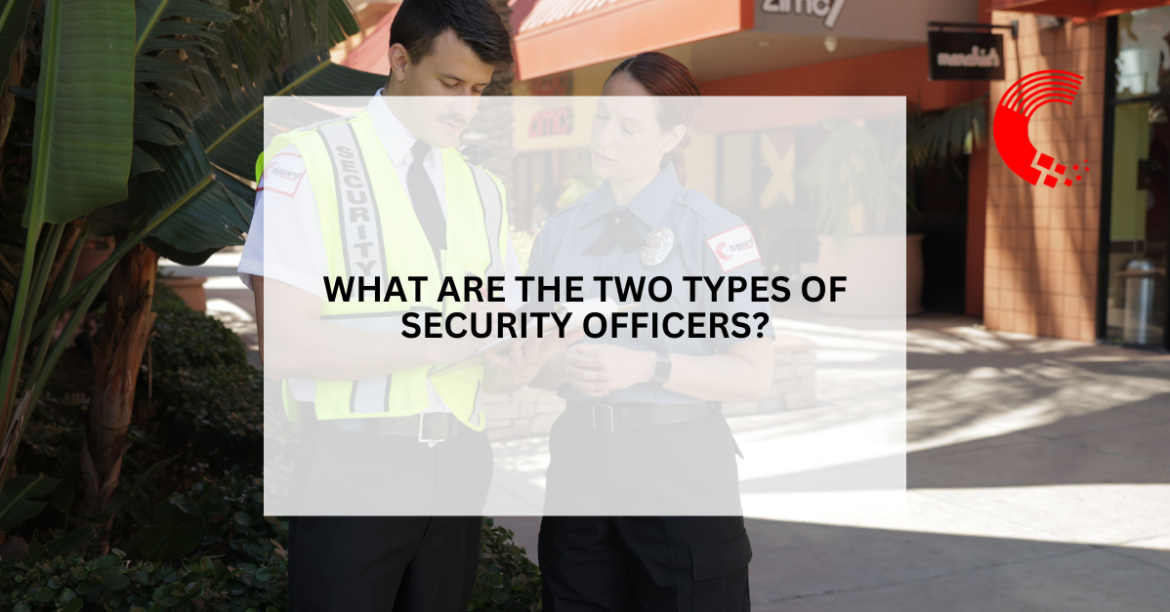 What Are the Two Types of Security Officers?