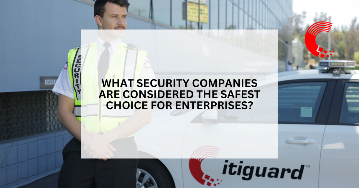 What Security Companies Are Considered the Safest Choice for Enterprises?
